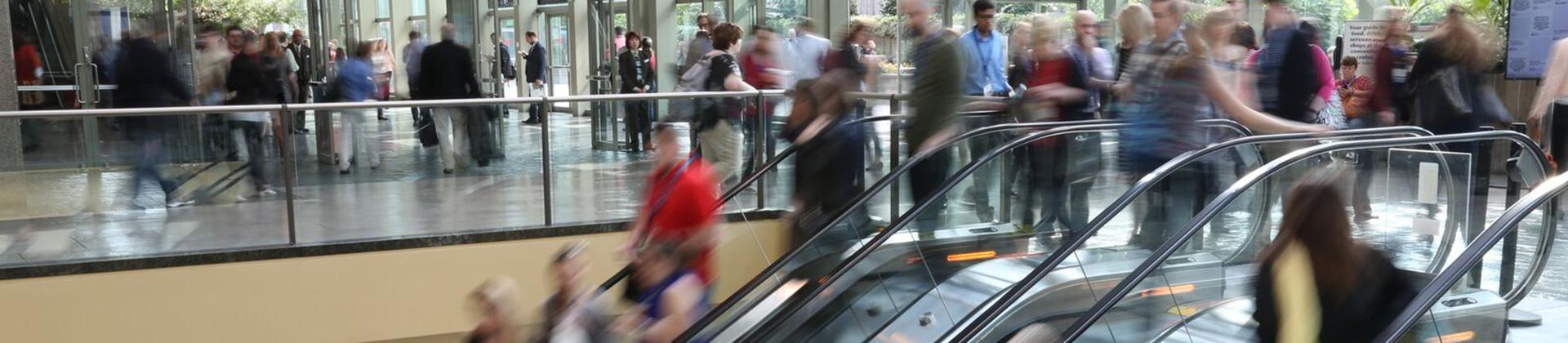 escalator banner image