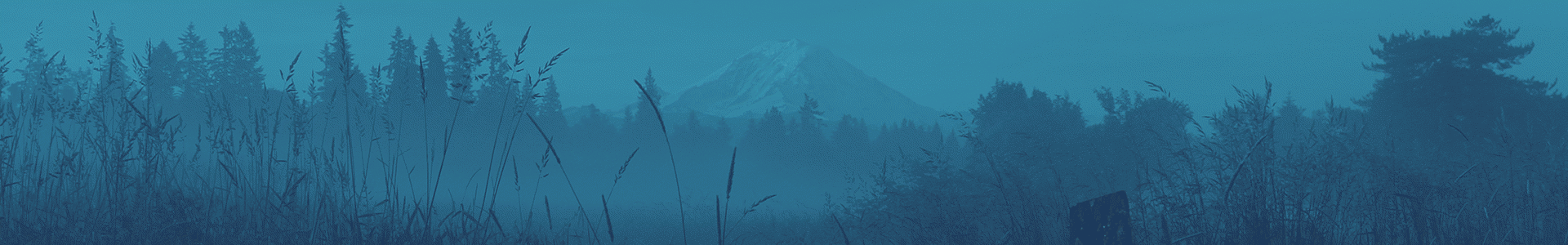 mt rainier